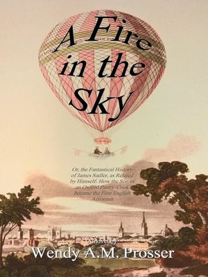 cover image of A Fire in the Sky